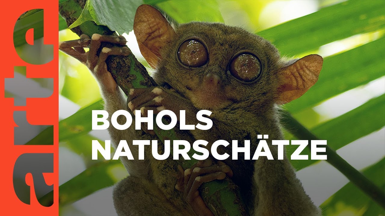Arte Entdeckung Bohol